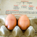 食料品スキャンダル - オランダ産の卵は危ない？ | Pfadfinder24