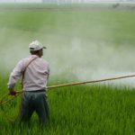 （独） バイヤー （米） モンサントをドイツ経済史最高額で買収す！ | Pfadfinder24