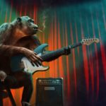 賃貸トラブル集 - リノーベーション & 喫煙 | Pfadfinder24