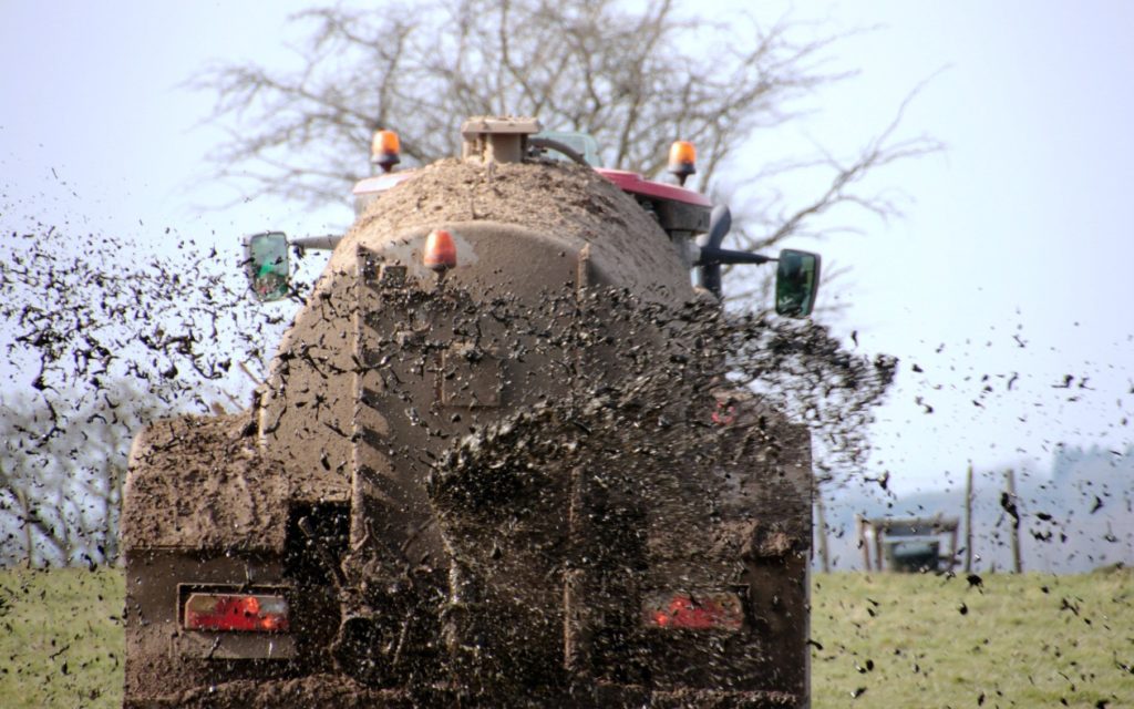 高い国産、それとも安いオランダ産?ドイツの農家の悩み