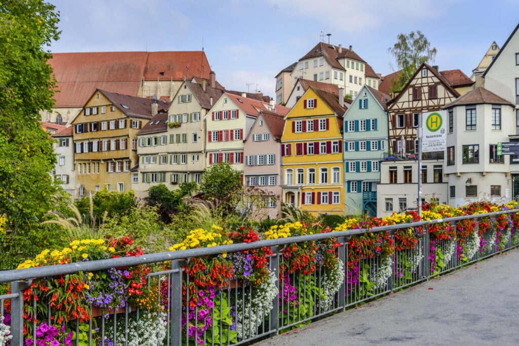 テュービンゲン モデル コロナ禍の金字塔？