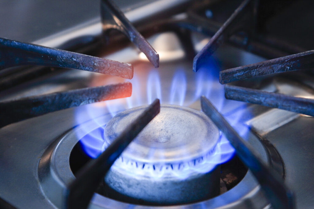 ガス不足で原子力発電復活？ 虚偽と真実を見極めよう！