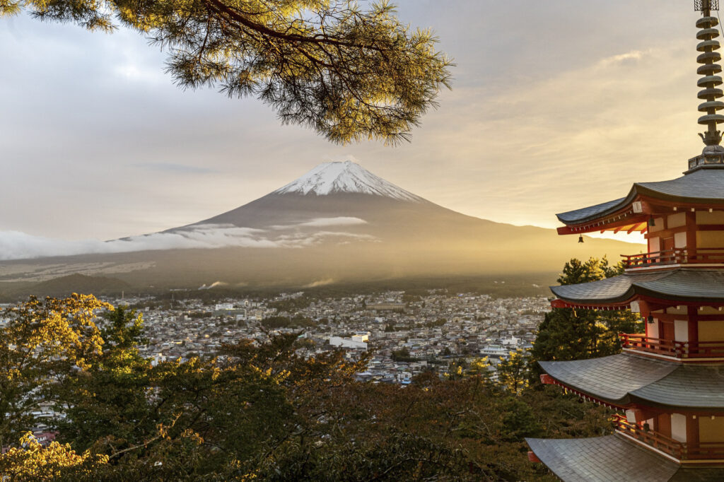 日本ではなんでそうなる？ 全国旅行支援
