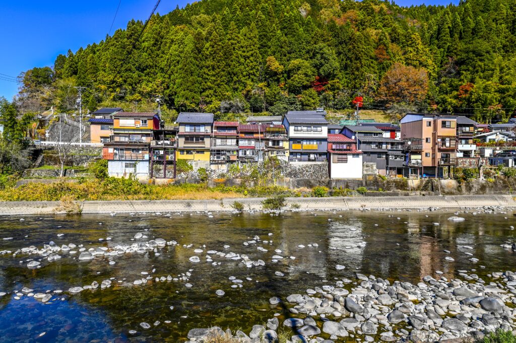 ニコン D780 +幻の神レンズ 真骨頂を発揮！