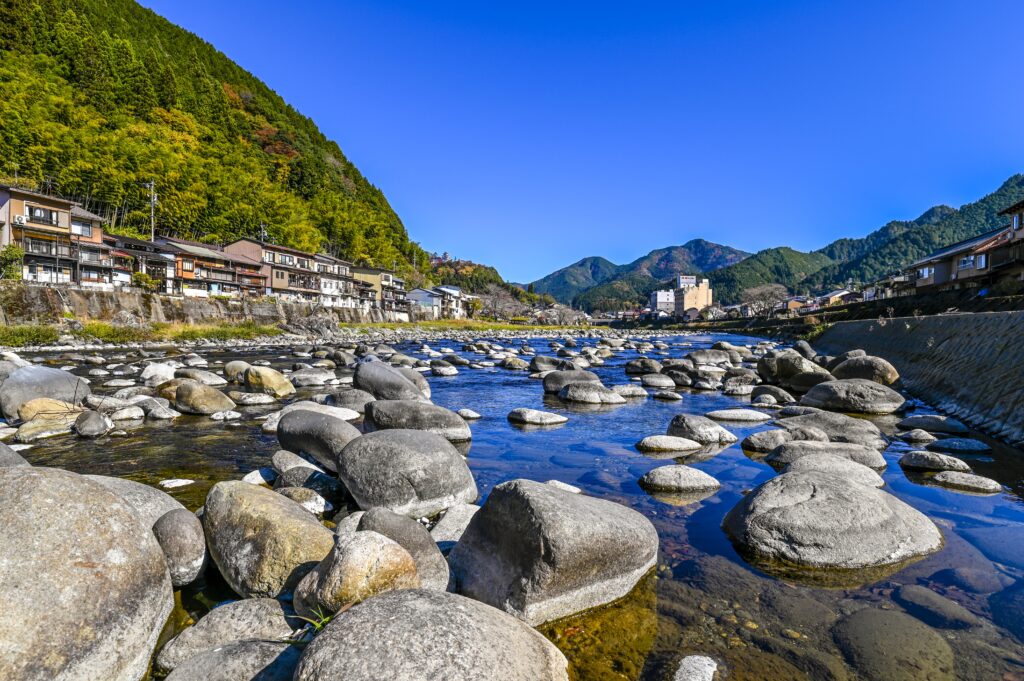 ニコン D780 +幻の神レンズ 真骨頂を発揮？