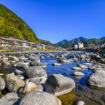 ニコン D780 +幻の神レンズ 真骨頂を発揮？