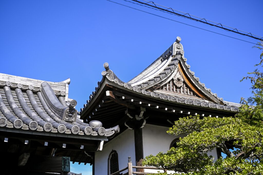 Nikkor Ai 55mm F2,8 micro vs. Voigtländer NOKTON 58mm F1.4 SL II N