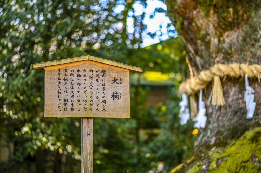 試写 本当にシャープなの?