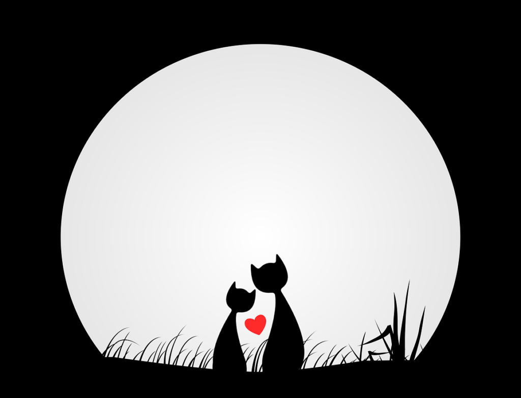 ロマンス詐欺と投資詐欺