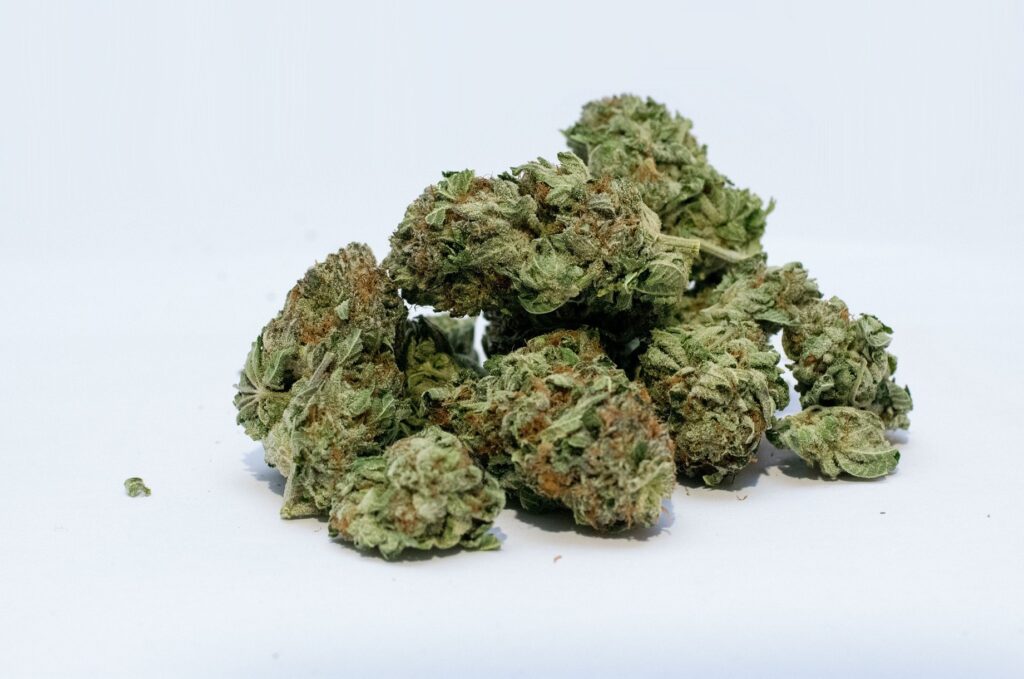 大麻合法法案 閣議決定！ いつから施行されるの？