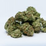 大麻合法法案 閣議決定！ いつから施行されるの？