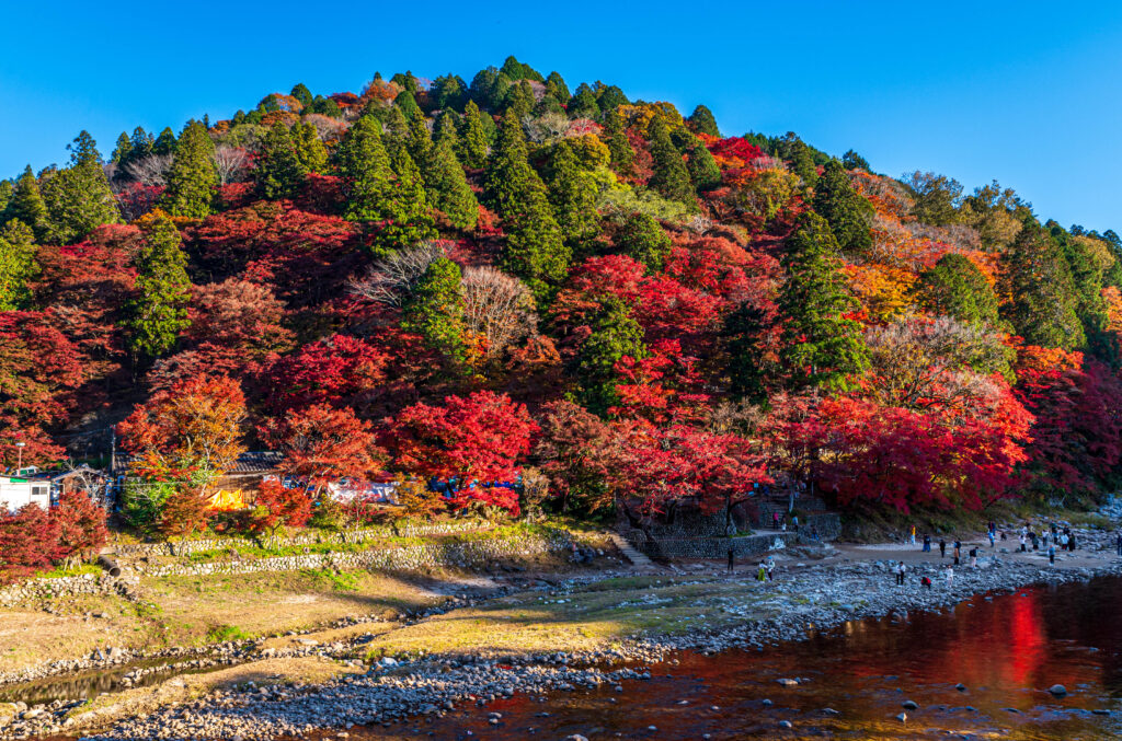 紅葉の名所 香嵐渓をNikon D780で撮れ！