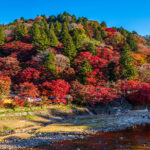 紅葉の名所 香嵐渓をNikon D780で撮れ！