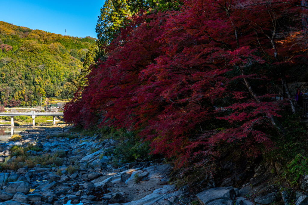 香嵐渓　影で真っ黒