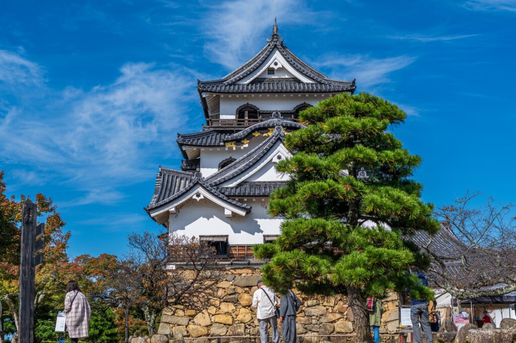 キレキレの写真