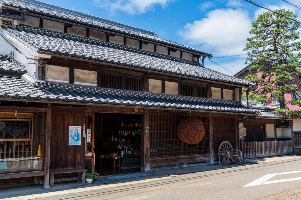 【北国街道】地蔵院参拝で栄えた 木之元 をD780で撮れ!