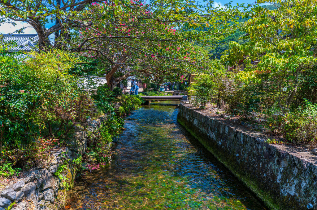 醒ヶ井　地蔵川