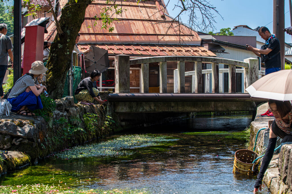 醒ヶ井　地蔵川