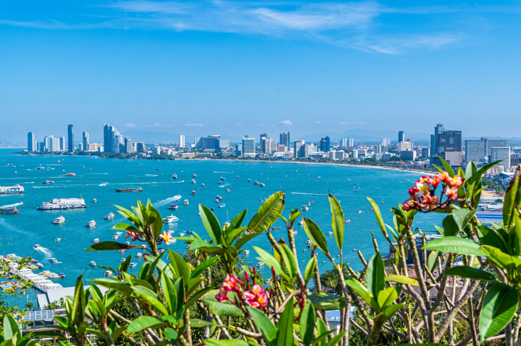 パタヤをニコンD780で撮れ！