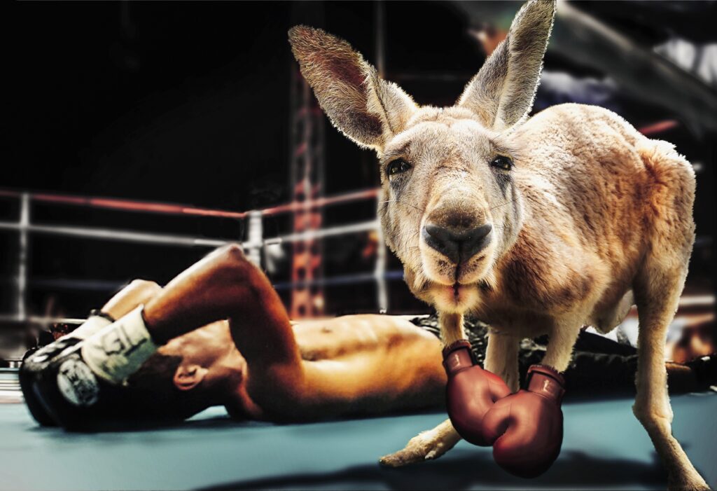 日米関税交渉 日本に勝ち目はあるの？