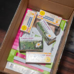 薬の通販 ポイント付与は違法 それとも合法？