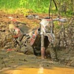 【投資戦術】過去最高値更新で 利益確保！